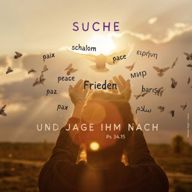 Suche Frieden und jage ihm nach